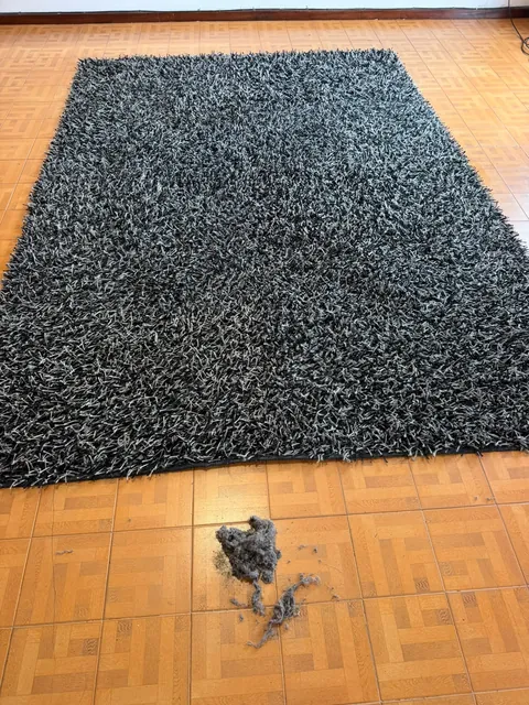 Tapete real com a sujidade que saiu dele no chão, à frente